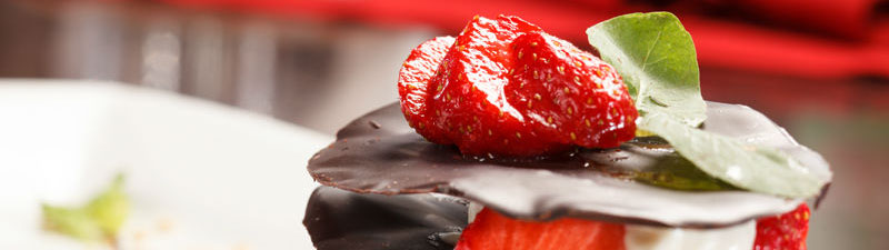 Titelbild MASEIKO - Matthias Seifert Koch