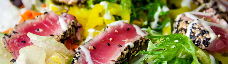 Titelbild MASEIKO - Matthias Seifert Koch