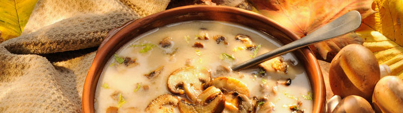 Titelbild MASEIKO - Matthias Seifert Koch