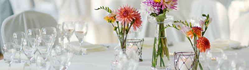 Titelbild MASEIKO - Matthias Seifert Koch